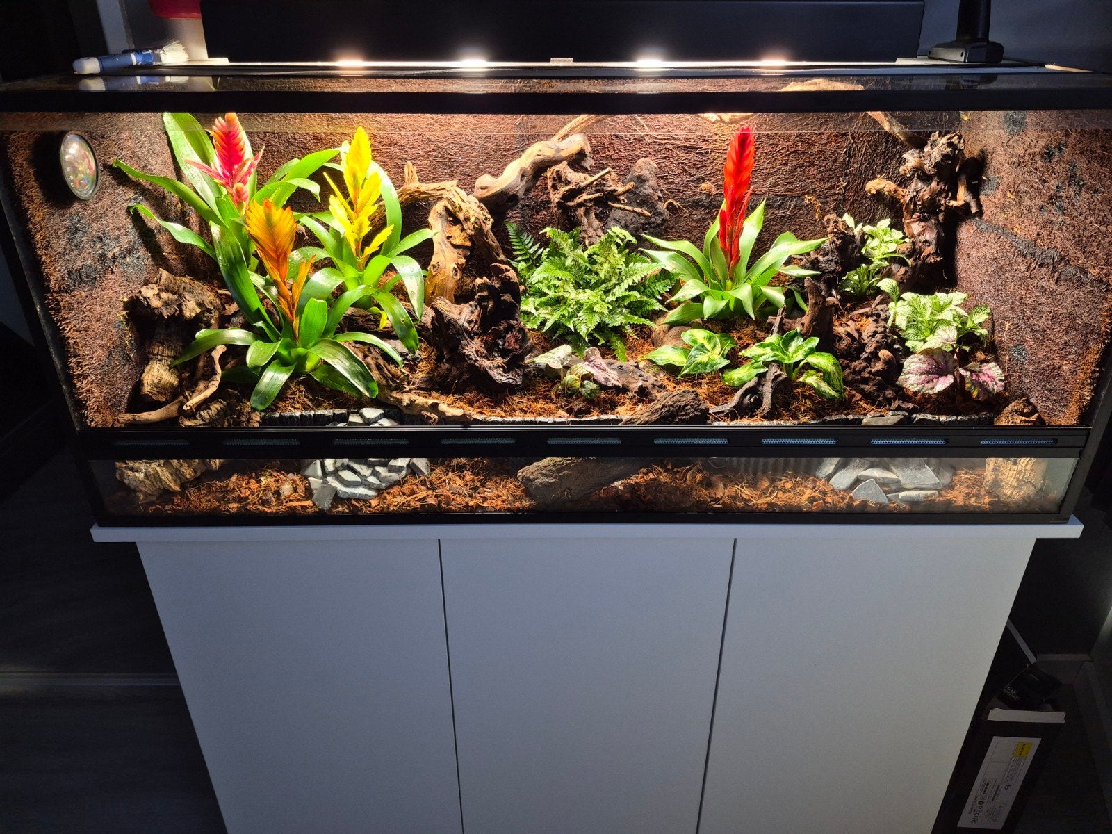 Terrarium 120x50x50, Dieren en Toebehoren, Ophalen, Zo goed als nieuw, Terrarium of Paludarium