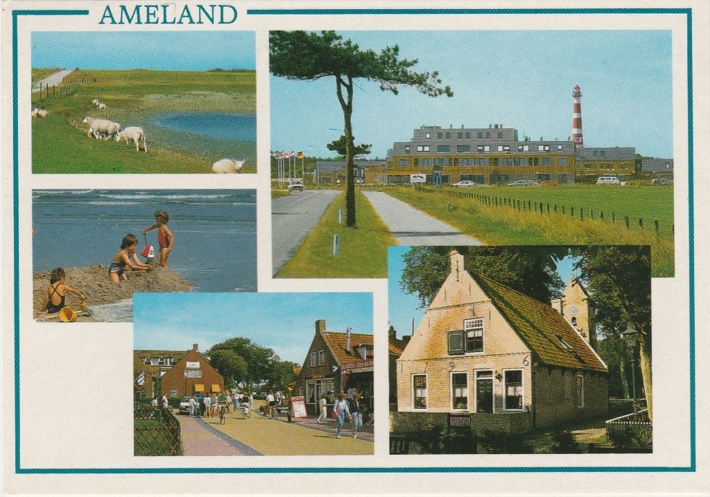 AMELAND Schapen Hotel Huis, Verzenden, 1980 tot heden, Gelopen, Waddeneilanden