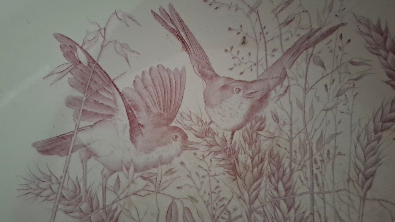 Brocante schaal roze met vogels society ceramique maestricht, Ophalen of Verzenden