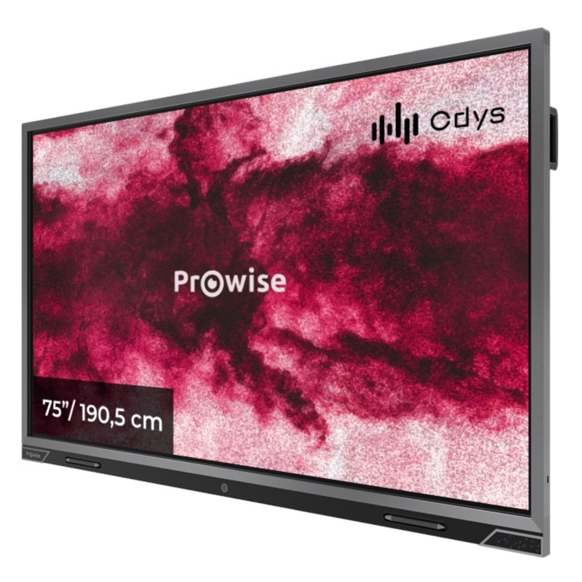 Prowise 75 inch touchscreen 4K, Ophalen