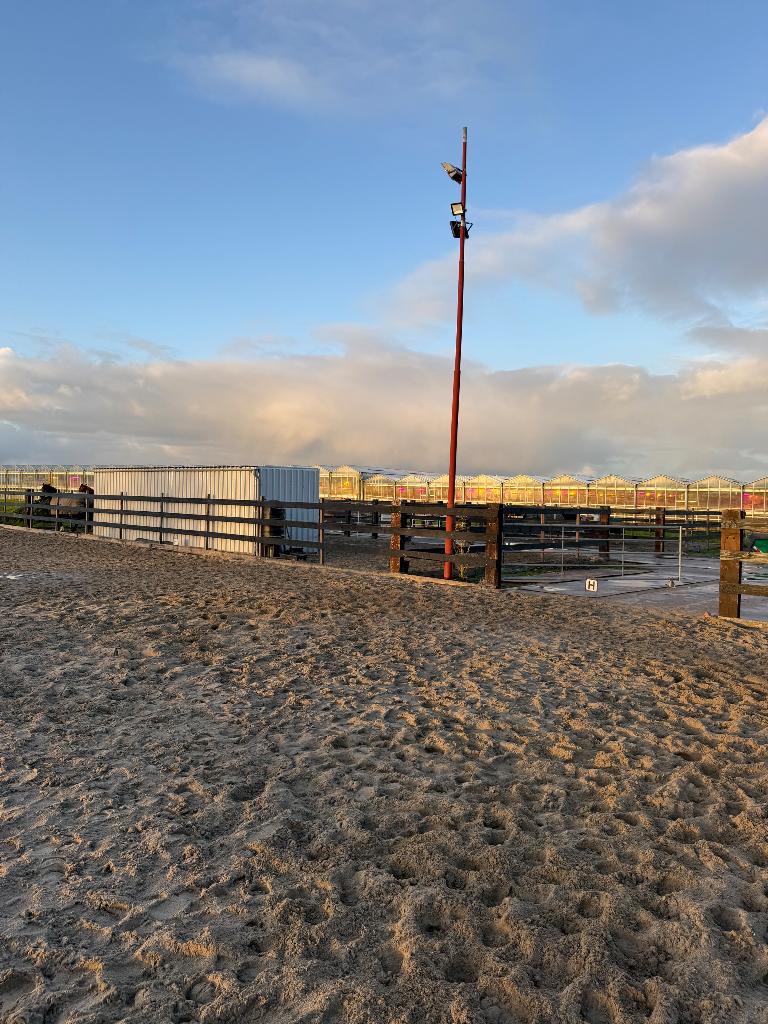 24/7 buiten en weidegang, Dieren en Toebehoren, Stalling en Weidegang, Weidegang, 2 of 3 paarden of pony's