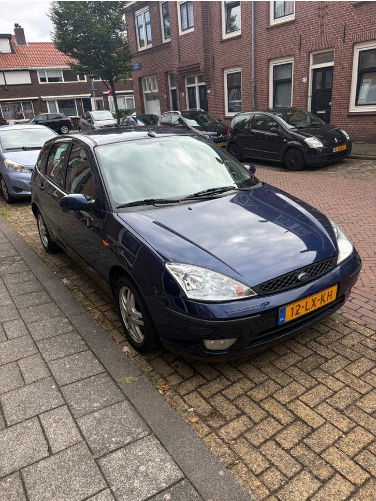Ford Focus 1.6 I Trend 5D 2003 Blauw, Auto's, 1596 cc, Blauw, 100 pk, 49 €/maand