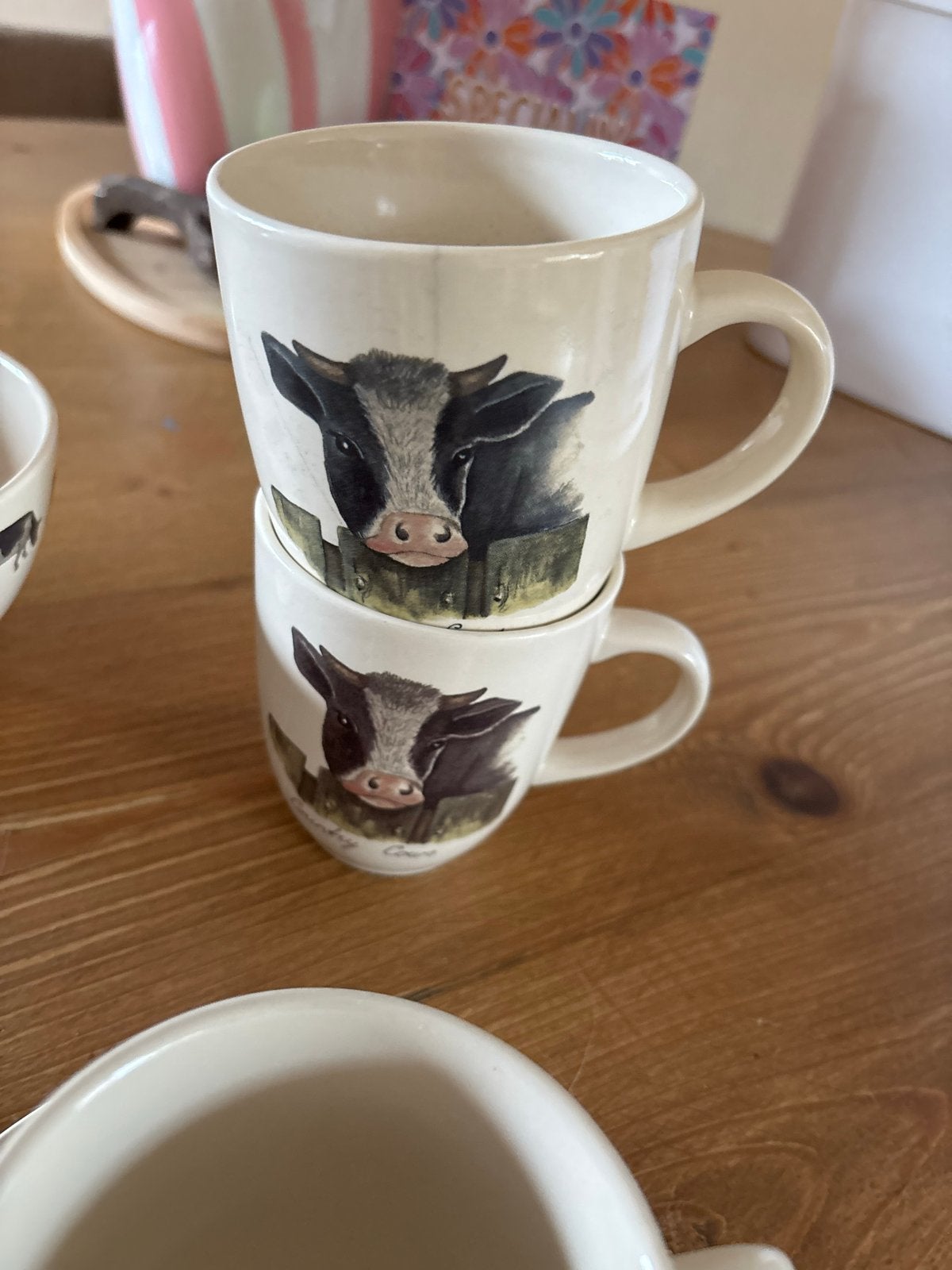 Jet ter Steege Country Cows servies en onderzetters, Gebruikt, Keramiek, Ophalen of Verzenden, Overige stijlen