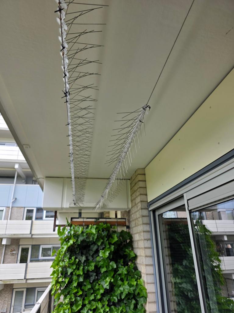 Duiven pinnen lengte 5 meter, Huis en Inrichting, Woonaccessoires | Cd- en Dvd-rekken, Ophalen, Metaal, Cd's