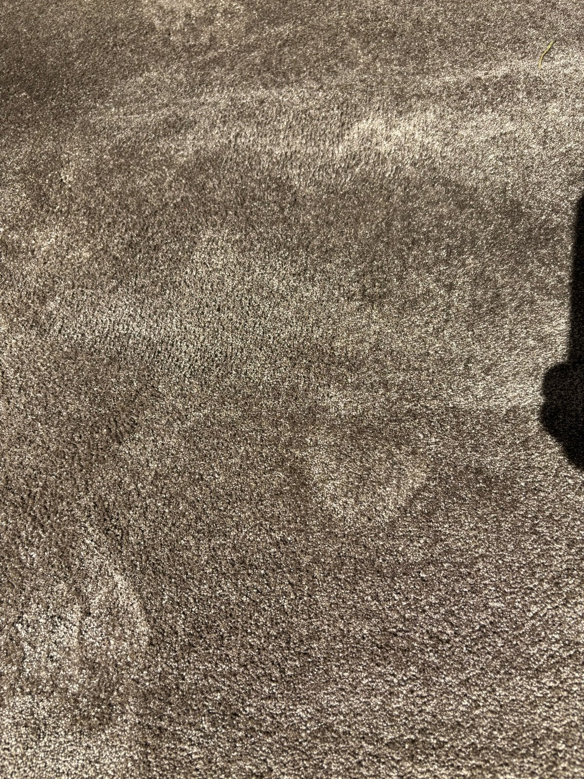 Rest stuk tapijt / carpet hoogpolig, Ophalen, Bruin, Zo goed als nieuw, 200 cm of meer