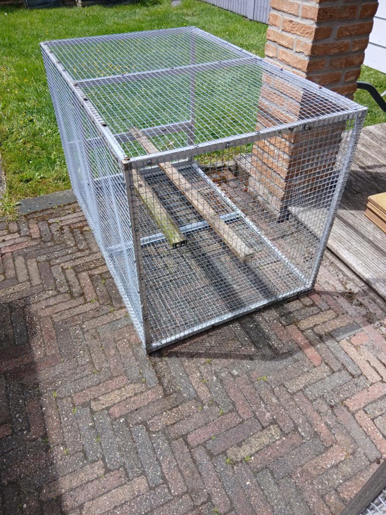 Ren, Overige soorten
