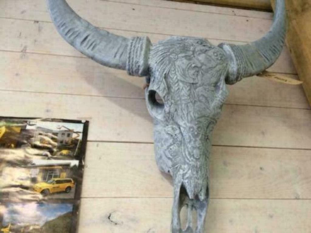 Foto 23 van Buffelschedels , Skulls , Longhorn , hoorns , bison schedels