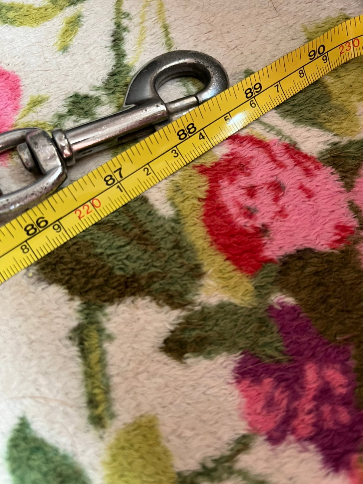 Honden accessoires., Ophalen, Gebruikt, Hondenriem