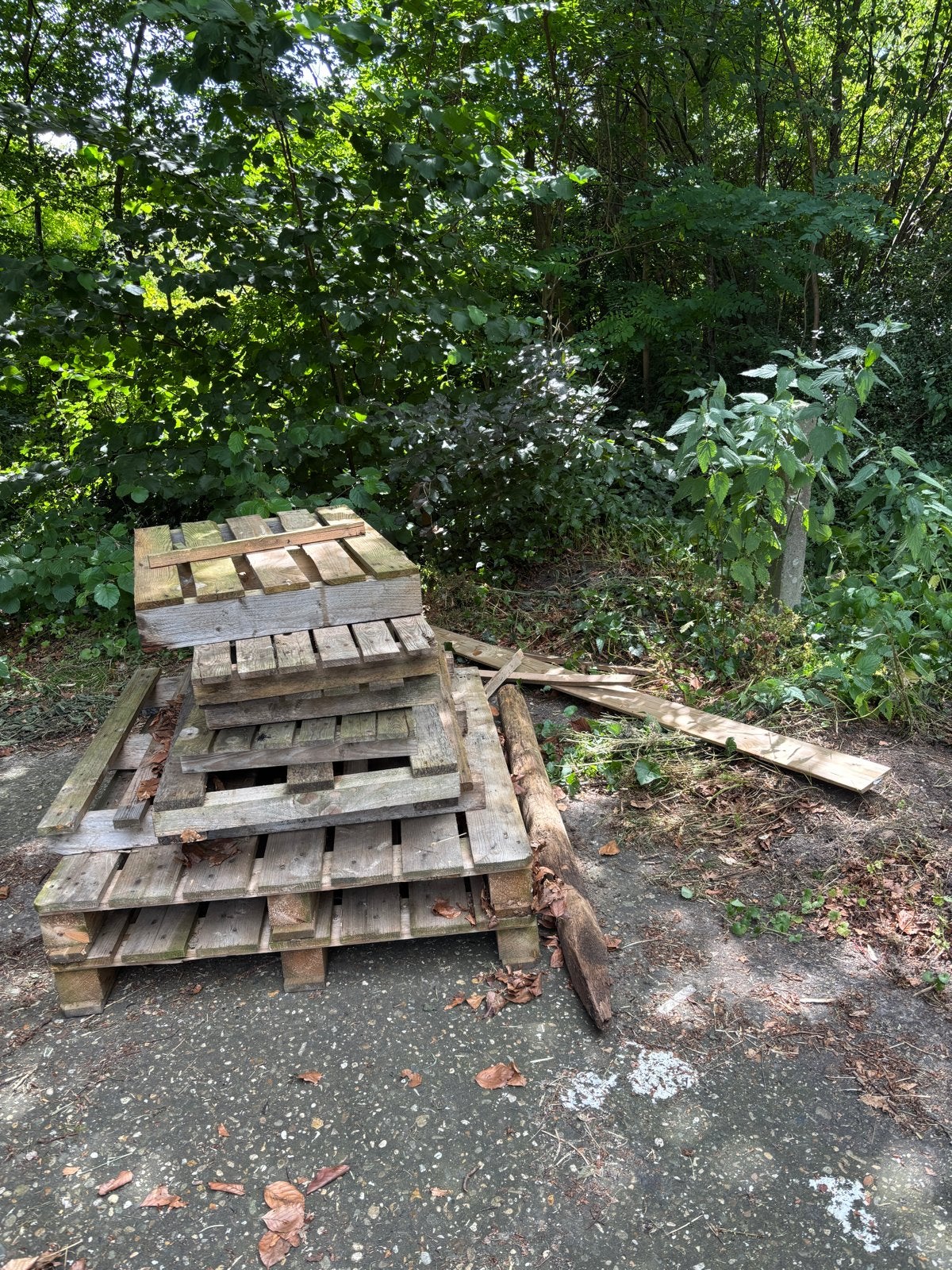 Gebruikte pallets en hout, Ophalen, Gebruikt, 50 mm of meer, Pallet