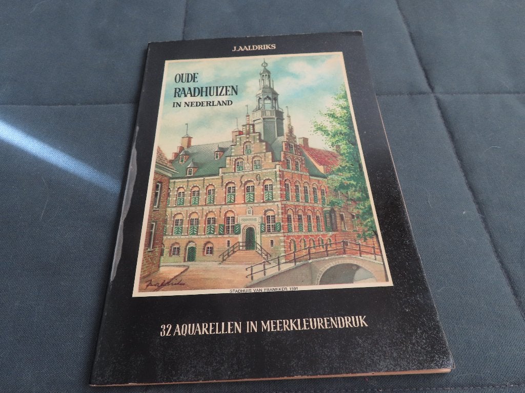 Boek over oude Raadhuizen, Ophalen of Verzenden, 20e eeuw of later, Gelezen