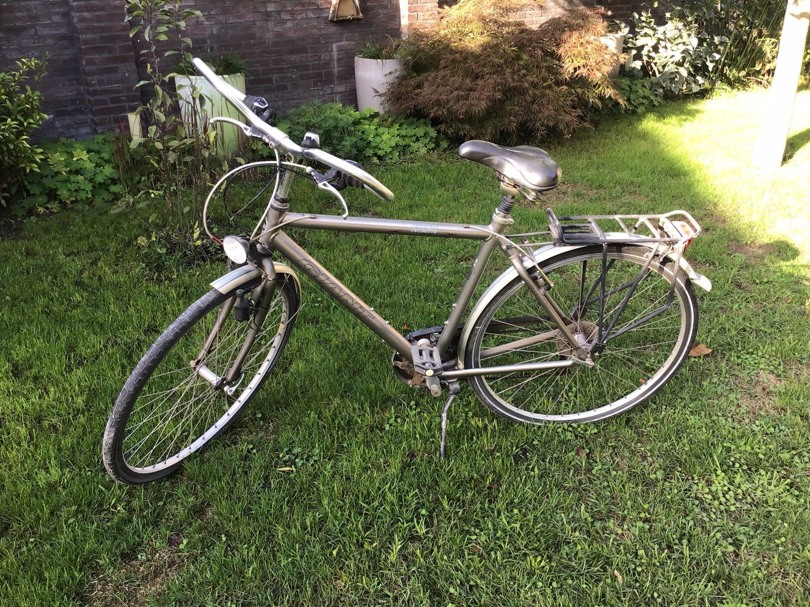 Giant freerider, Fietsen en Brommers, Ophalen, Gebruikt, Velgrem, Versnellingen