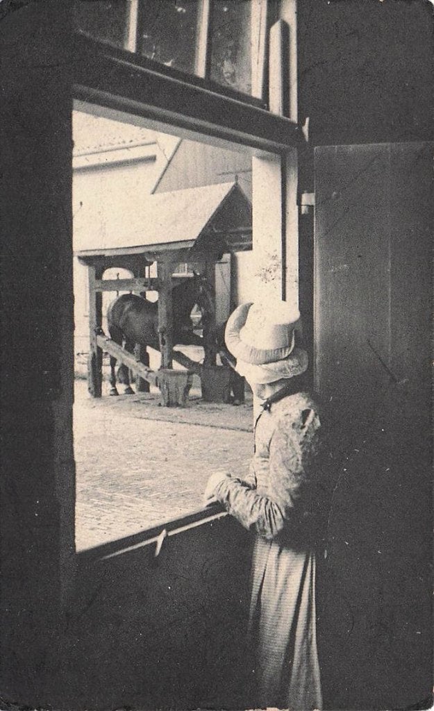 703-017-003 Bergen NH, Verzenden, Voor 1920, Noord-Holland