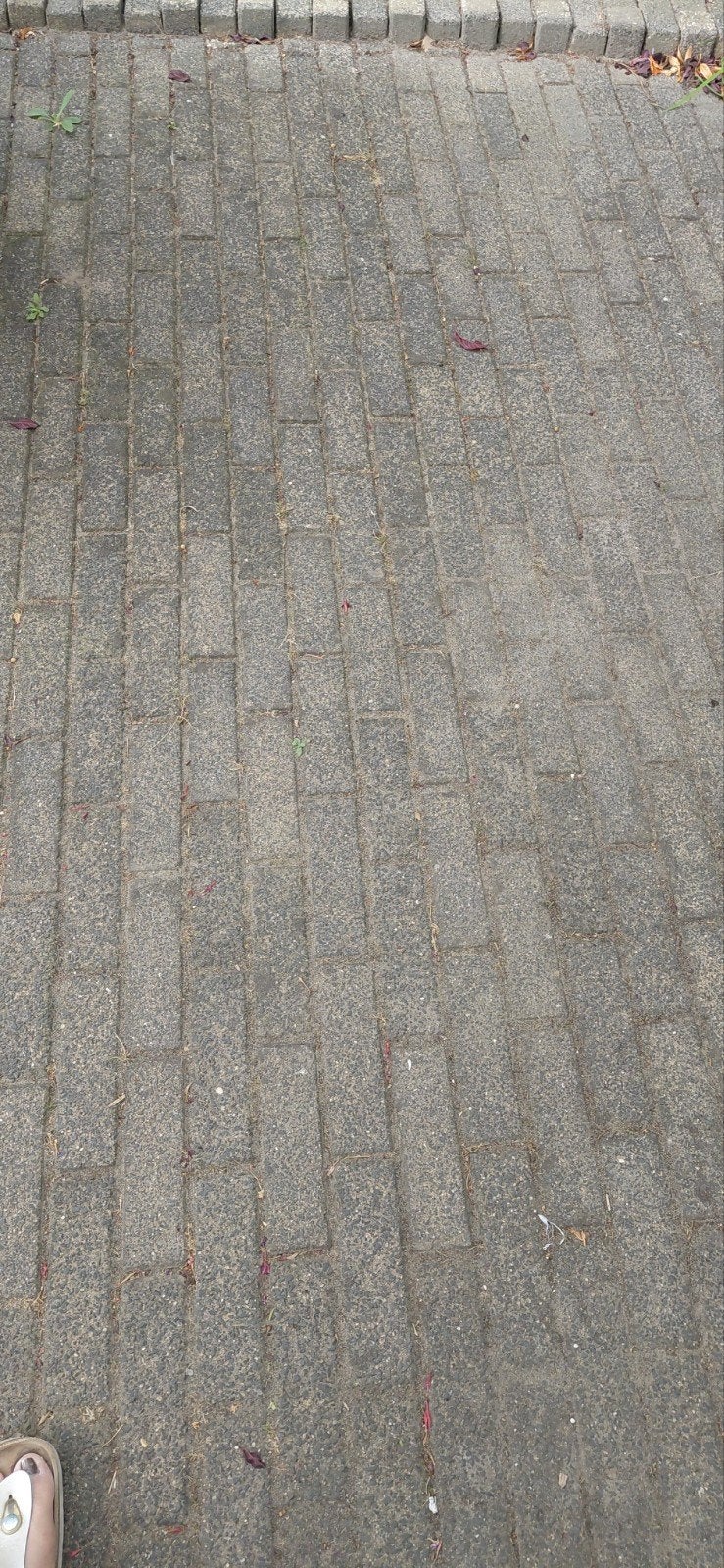 gratis 11m² gebruikte stoeptegels zelf mee uithalen, Tuin en Terras, Ophalen, Gebruikt, 10 m² of meer, Beton