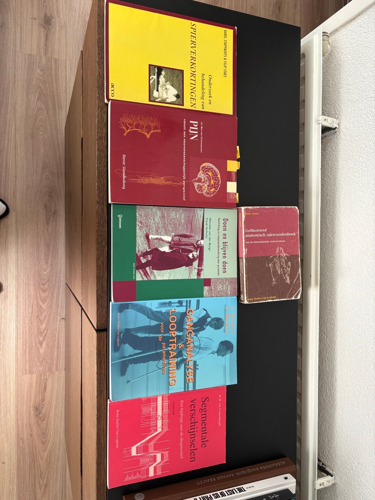 Fysiotherapeutische boeken - Diverse titels, Boeken, Ophalen of Verzenden, Beta, Gelezen, HBO