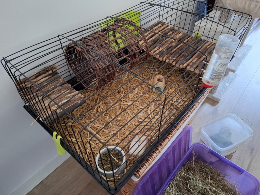 Grote caviakooi met toebehoren., Ophalen, 75 tot 110 cm, Kooi, Minder dan 60 cm