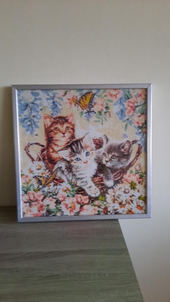 diamond painting, Hobby en Vrije tijd, Knutselen, Nieuw, Knutselwerk, Ophalen of Verzenden