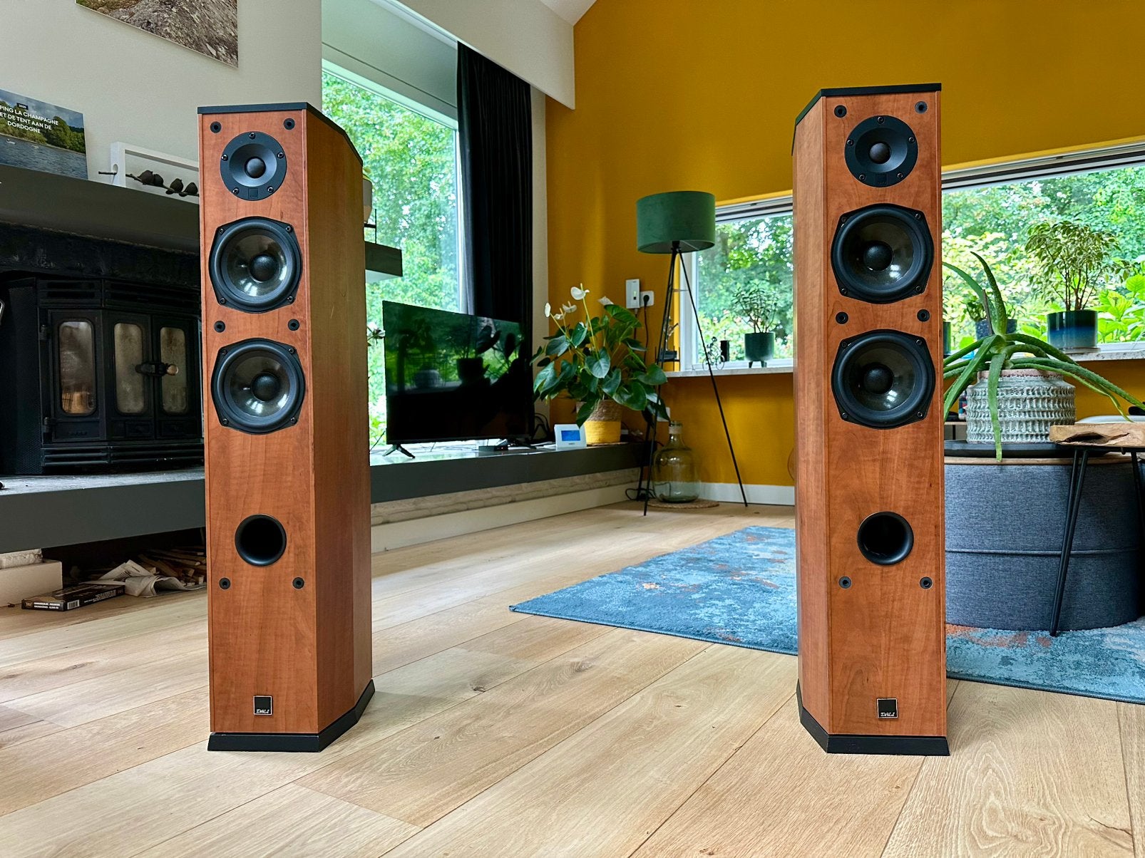 DALI Suite 1.5 vloerstaande luidsprekers kersenhout (set), Gebruikt, 120 watt of meer, Front, Rear of Stereo speakers, Ophalen