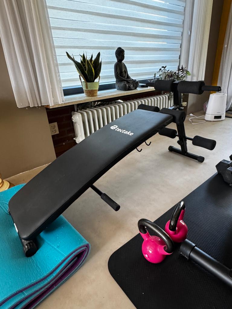 Tectake bank gym buikspieren, Sport en Fitness, Ophalen of Verzenden, Zo goed als nieuw, Krachtstation