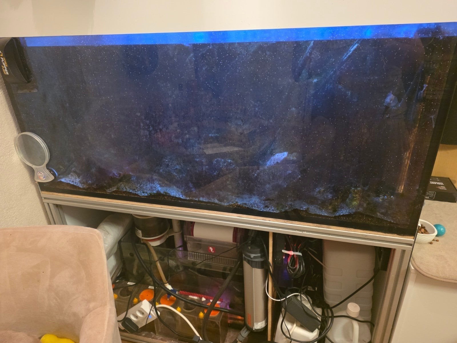 ZOUT/ZOET WATER AQUARIUM 700 LITER MOET NU WEG!!!, 6 jaar of ouder, Particulier, Reu, Buitenland
