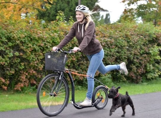 Kickbike City met gratis Pixeo lamp +gratis verzending, Ophalen of Verzenden, Nieuw, Kickbike, Kickbike City met gratis Pixeo lamp +gratis verzending