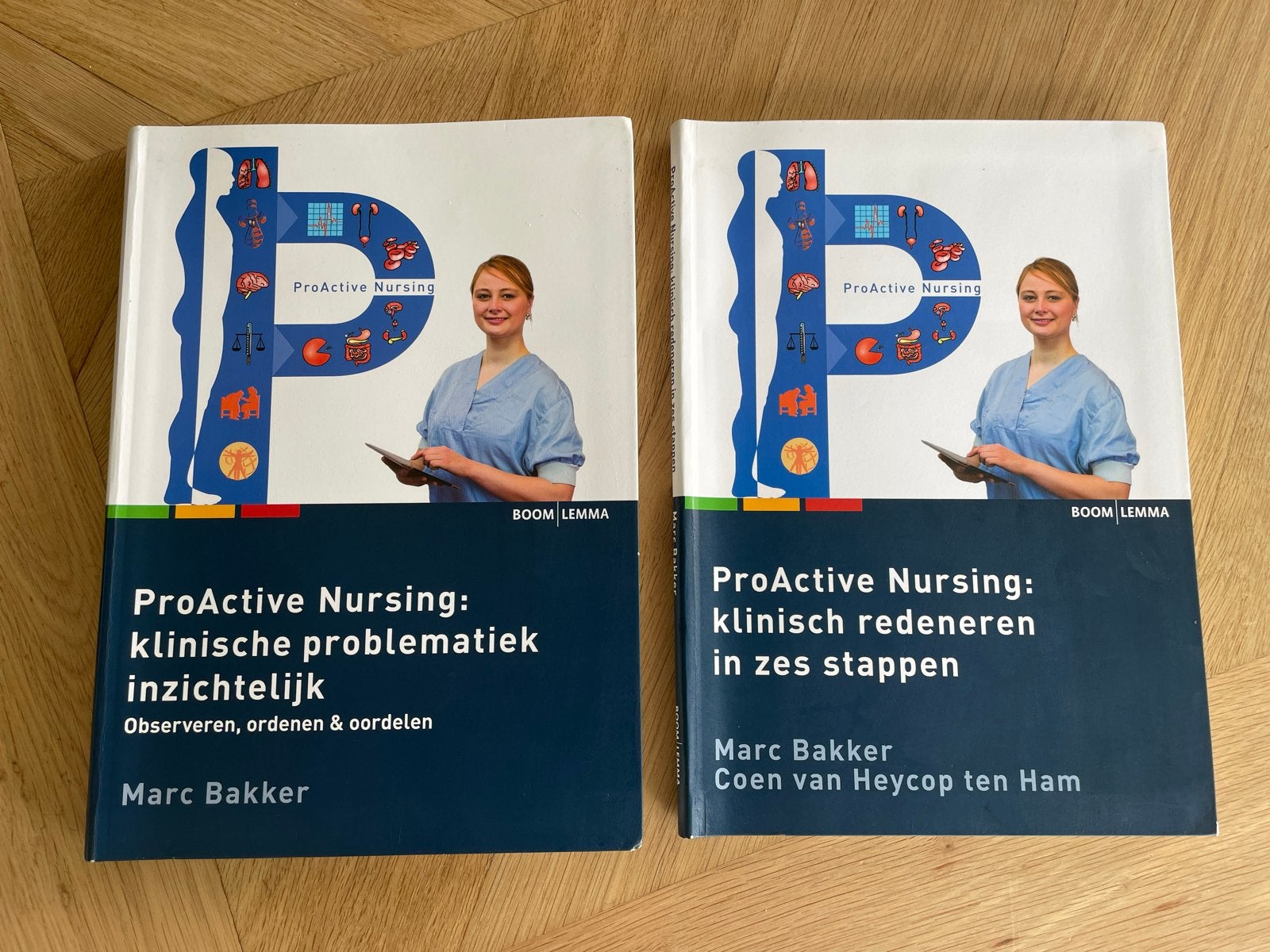 ProActive Nursing: Klinische Problematiek & Klinisch Redener, Ophalen of Verzenden, Beta, Zo goed als nieuw, HBO