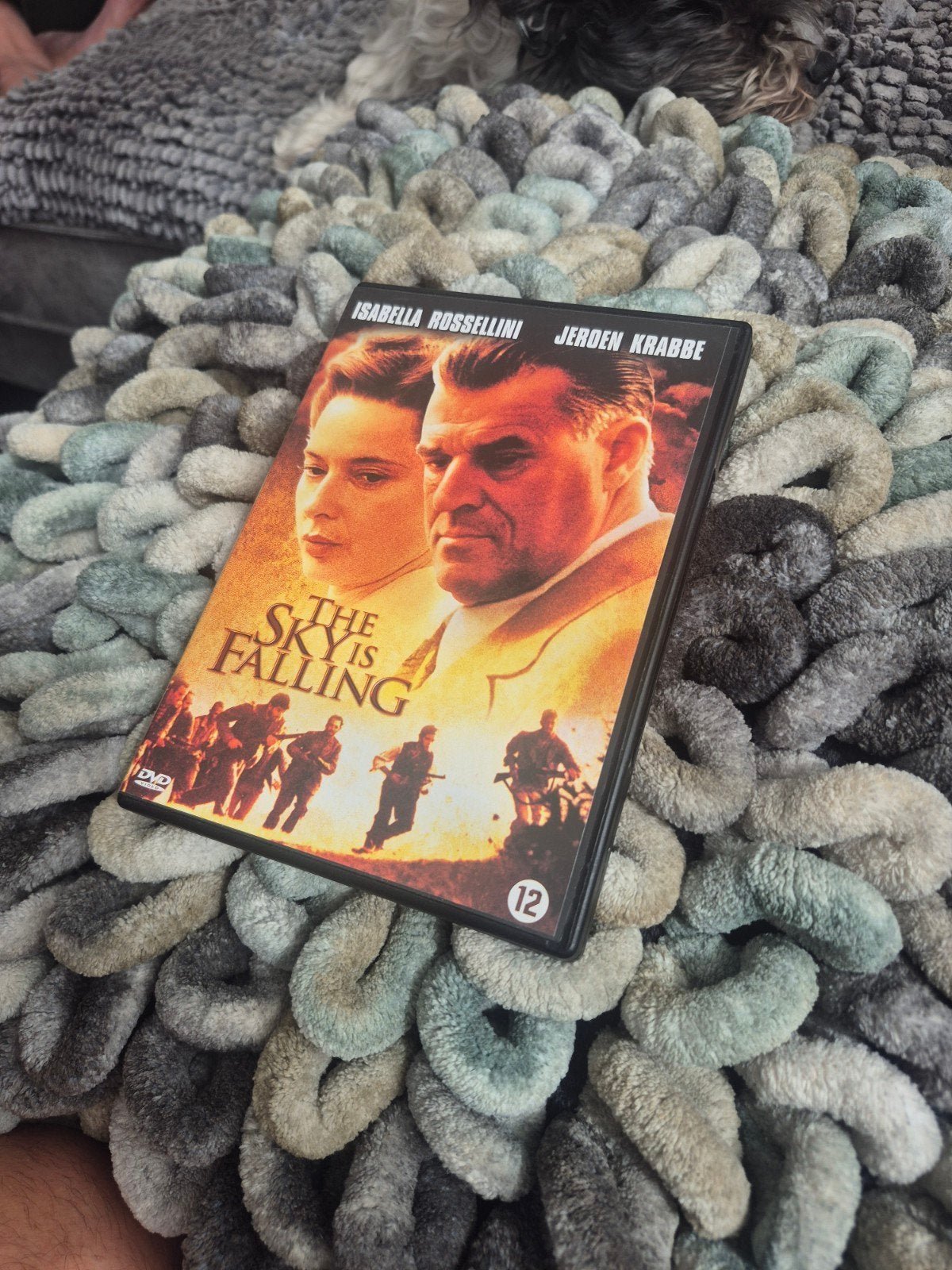 The Sky Is Falling DVD - Isabella Rossellini, Jeroen Krabbé, Gebruikt, Nederlands, Overige genres, Ophalen of Verzenden
