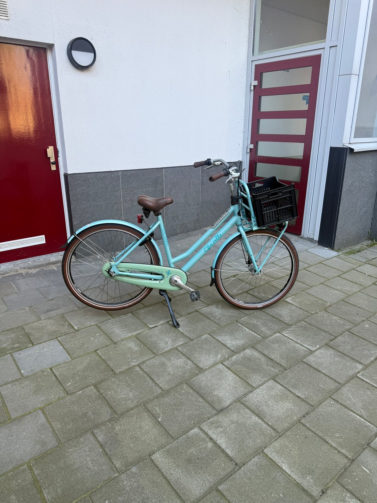 Zeer nette gazelle miss grace, Ophalen, Handrem, Trommelrem, 53 tot 56 cm