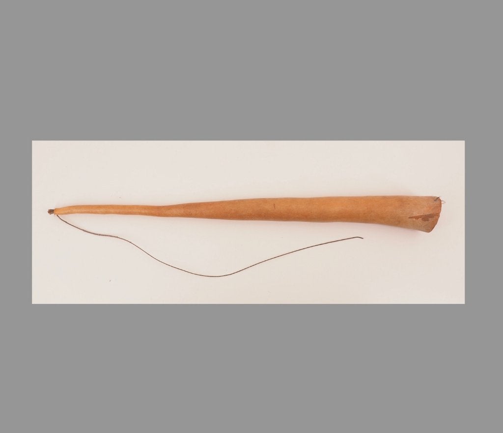 Rechte Koteka (Peniskoker) Papua Nieuw Guinea (251212-07), Papoea-Nieuw-Guinea, Ophalen of Verzenden, Overige typen, 40 cm