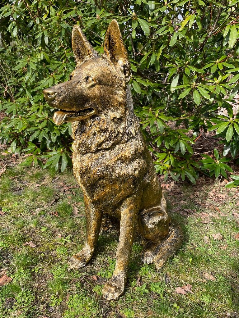 Beeld Duitse herder, Goud honden, tuin, vijver, 75 cm, Ophalen, Nieuw, Kunststof, Dierenbeeld