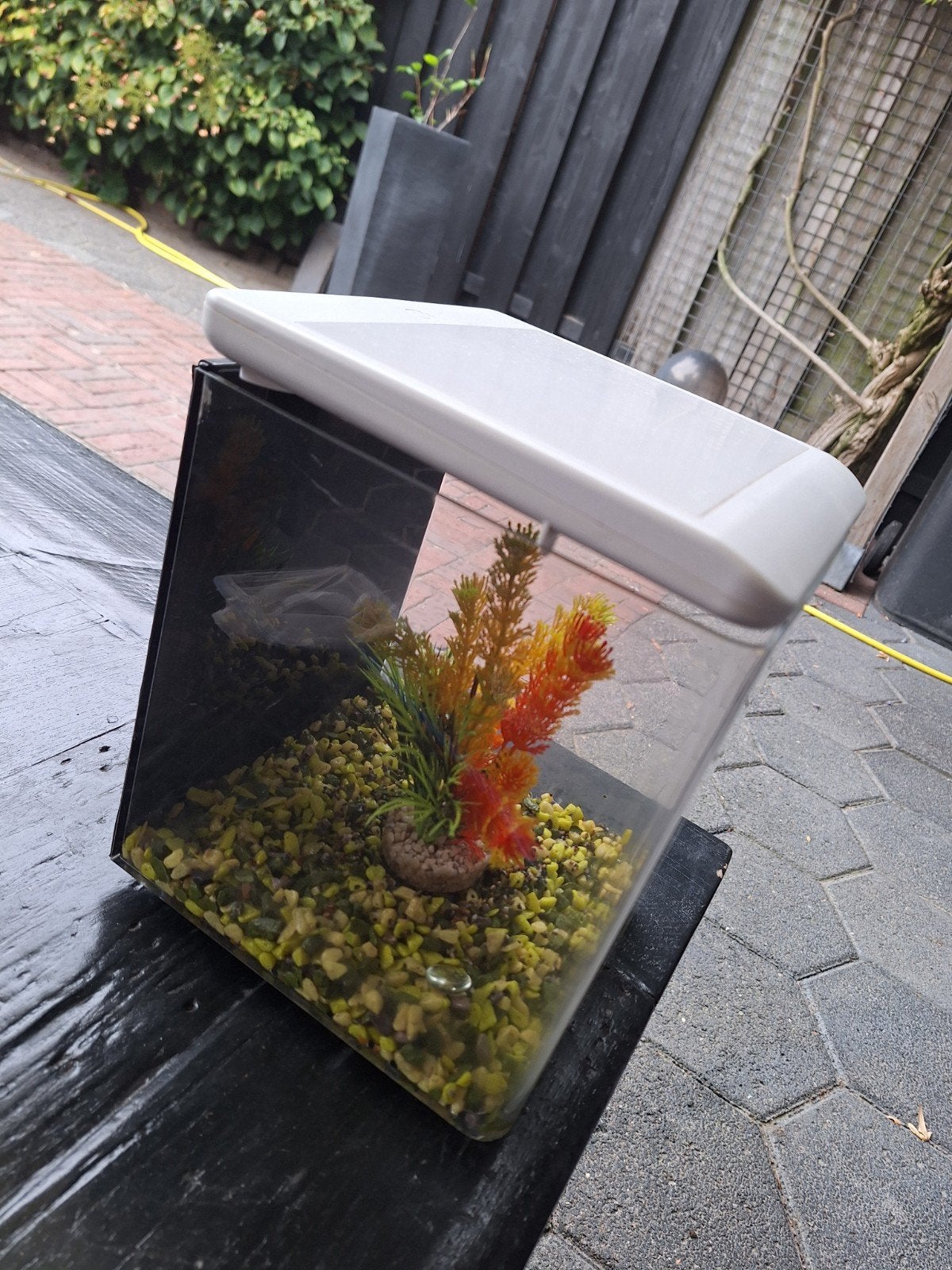 Aquarium Superfish Home 8, Dieren en Toebehoren, Ophalen of Verzenden, Gebruikt, Leeg aquarium, Superfish