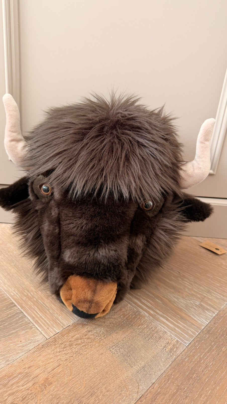 Wild & Soft Buffel Alex Dierenkop, Ophalen, Zo goed als nieuw, Wanddecoratie