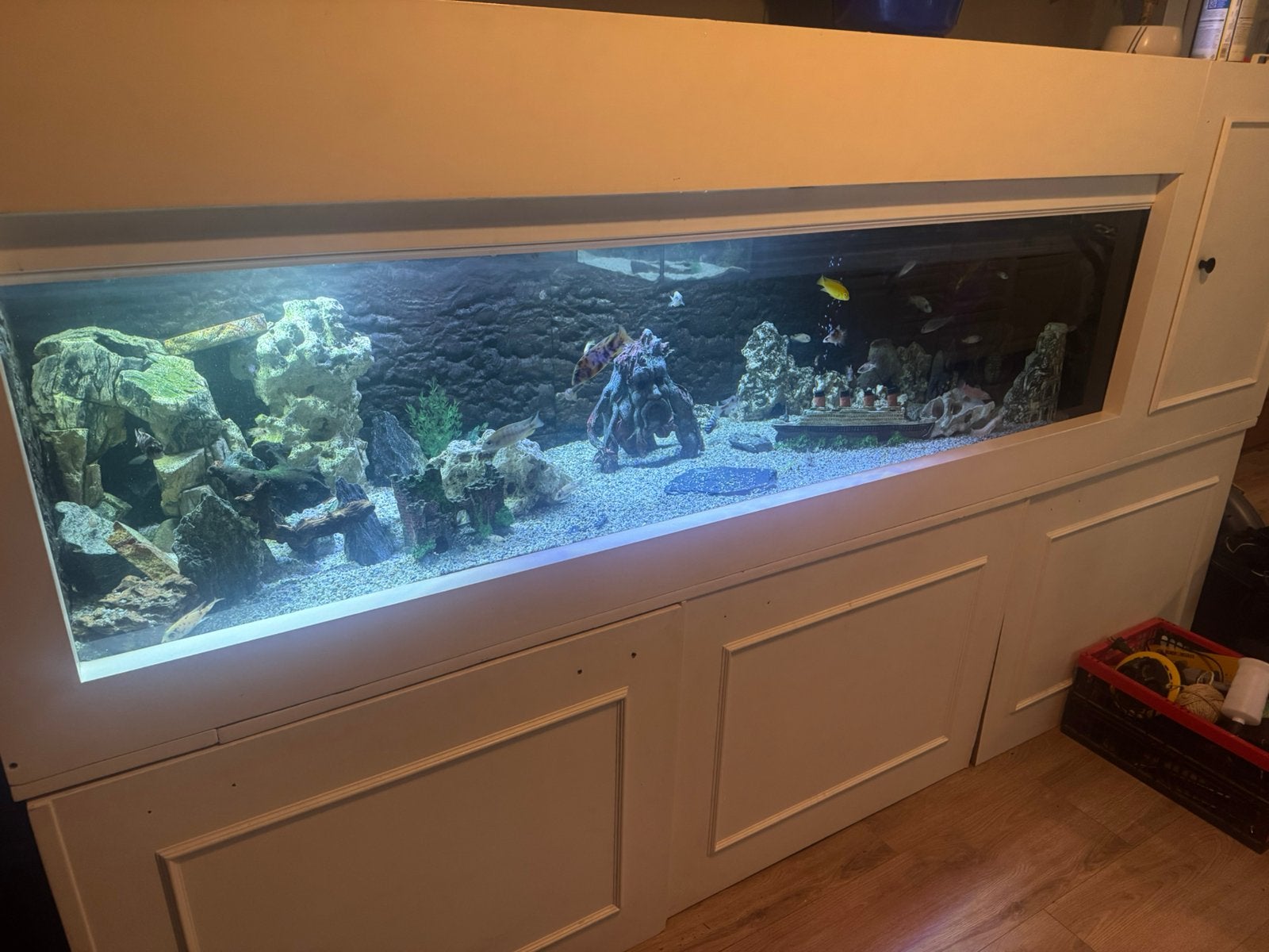 Aquariumbak met ombouw.  Zie beschrijving!, Ophalen, Gebruikt, Overige typen