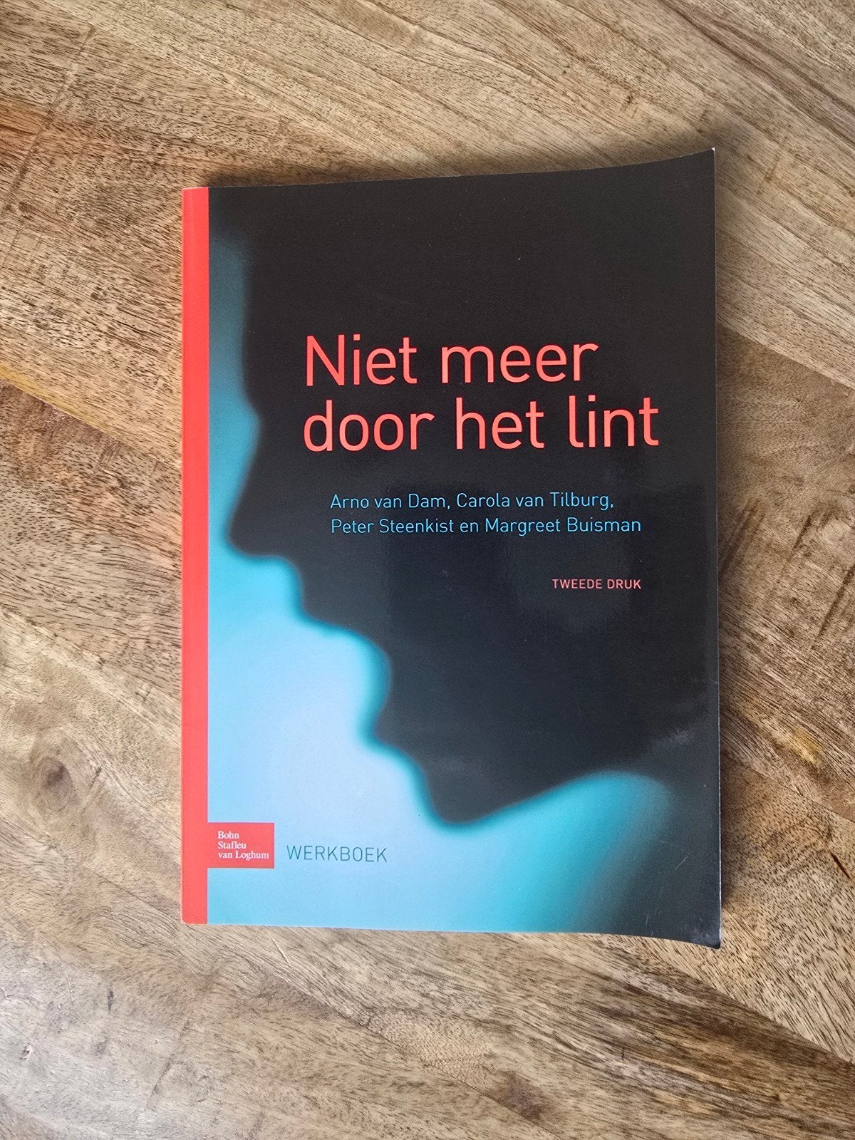 NIET MEER DOOR HET LINT WERKBOEK NIEUW !!, Boeken, Ophalen of Verzenden, Nieuw
