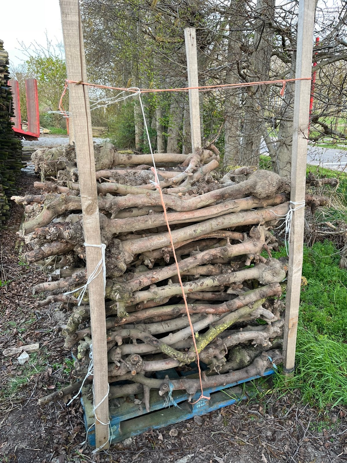 Pallet haardhout appelhout, Minder dan 3 m³, Ophalen