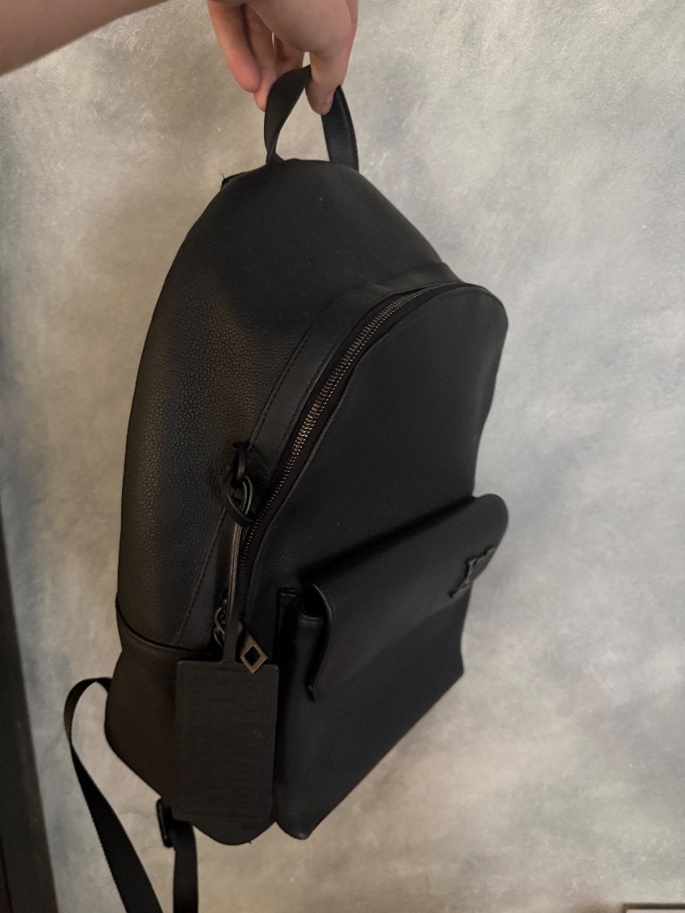 Louis Vuitton rugzak heren, Ophalen, Nieuw, Louis Vuitton