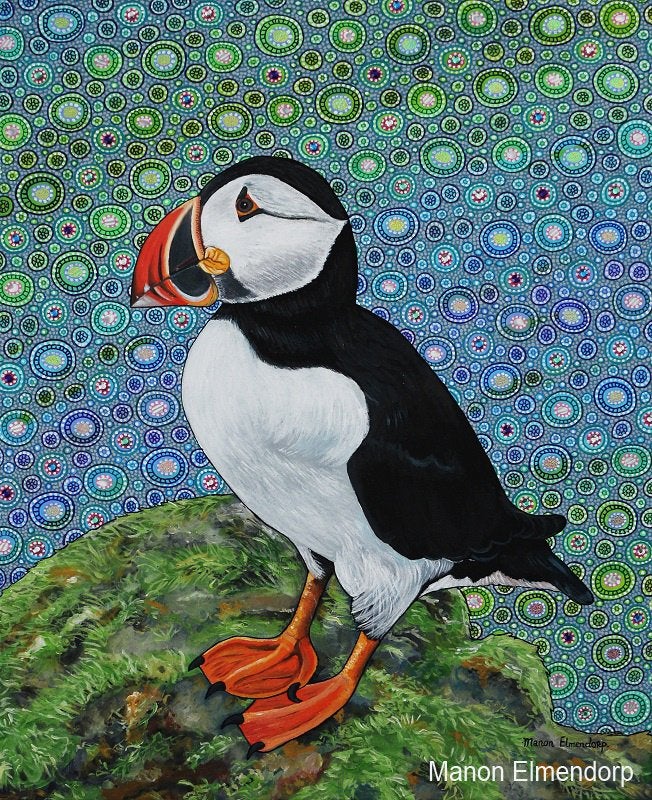 Origineel Handgeschilderd Schilderij Papegaaiduiker 50x41cm, Acrylverf, Ophalen of Verzenden, Dieren, Op houten frame