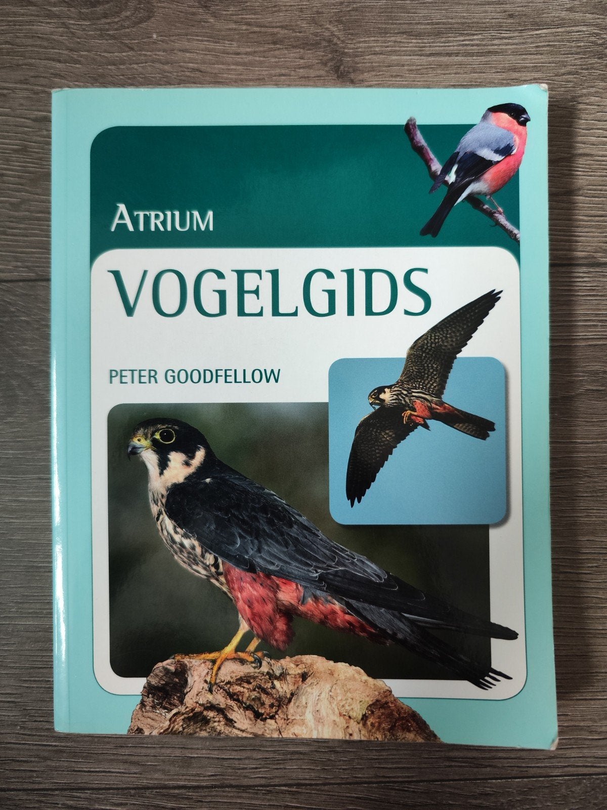 Atrium Vogelgids – Peter Goodfellow | Vogels Herkennen, Boeken, Zo goed als nieuw, Vogels, Peter Goodfellow, Ophalen of Verzenden