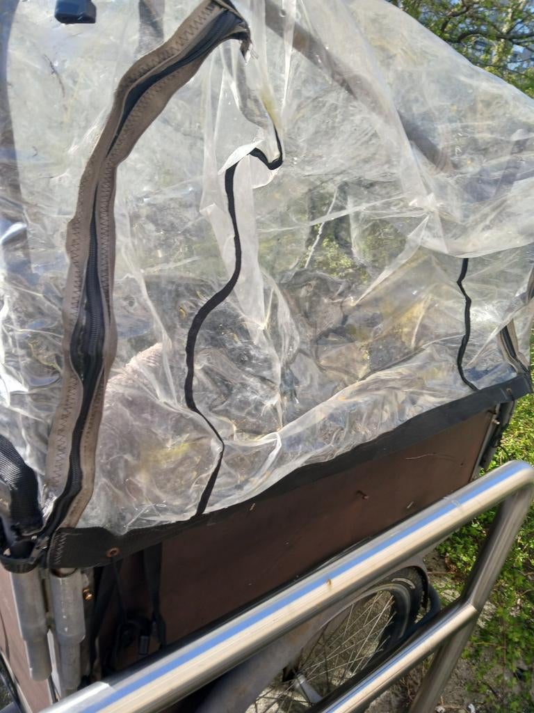 Cargo bike, Ophalen of Verzenden, 1 kind