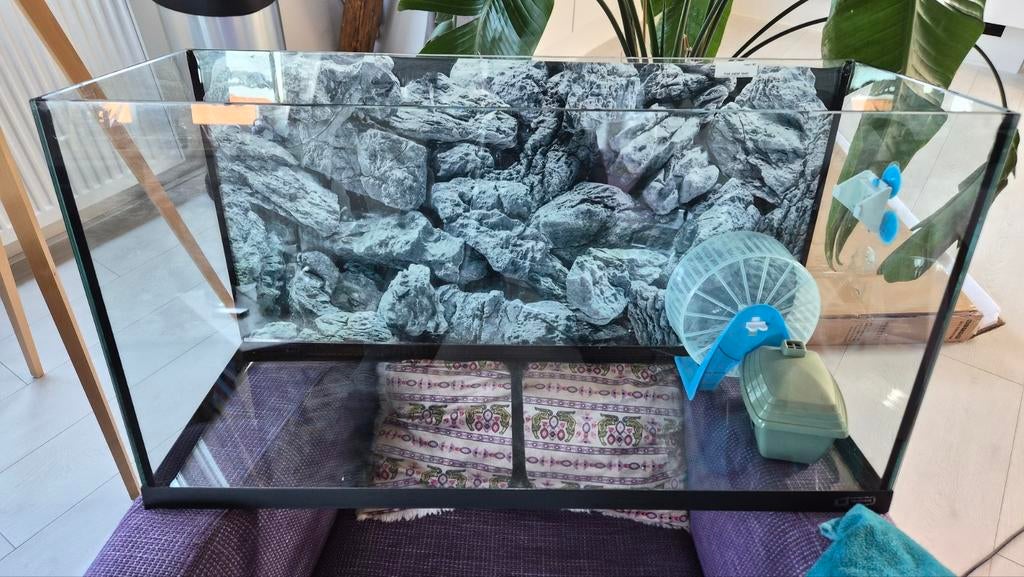 Hamster terrarium, Ophalen of Verzenden, Hok, Hamster, Minder dan 60 cm