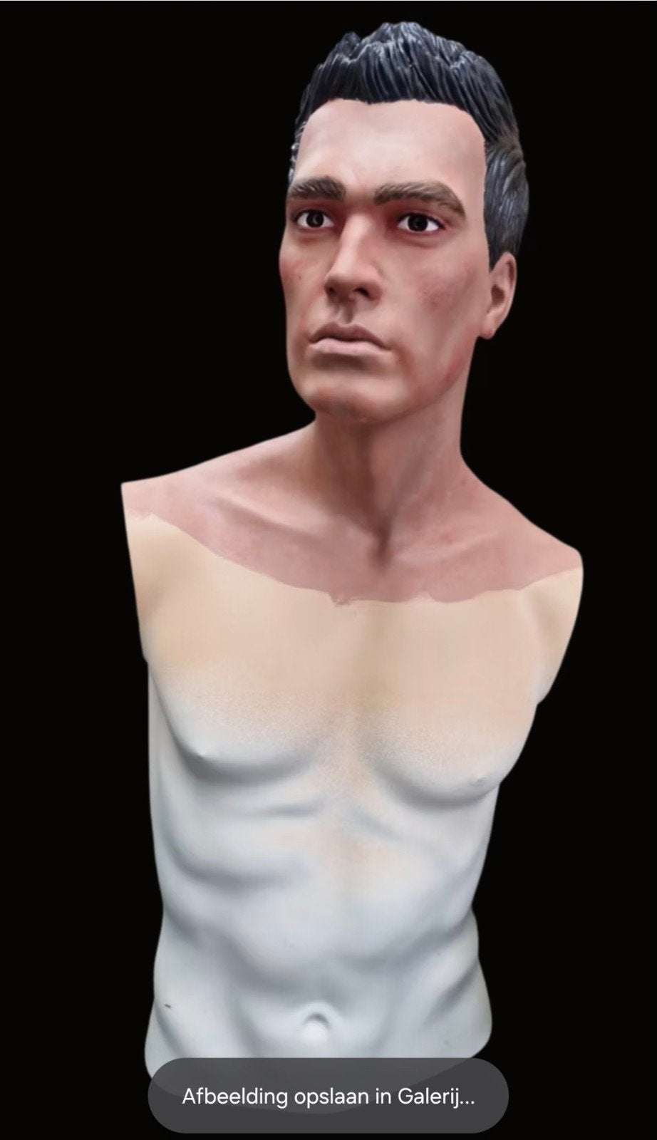 Handgeschilderde Hindsgaul buste, Verzamelen, Realistische mannequin & More, Ophalen of Verzenden, Info@realistischemannequin.nl