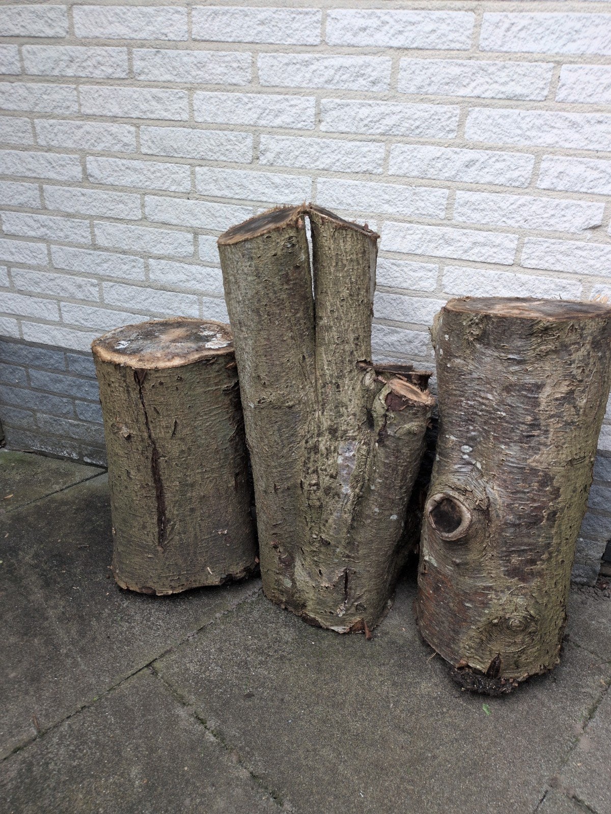 ca. 70 kg haardhout van een recent gekapte lijsterbes, Tuin en Terras, Minder dan 3 m³, Ophalen, Overige houtsoorten, Stammen