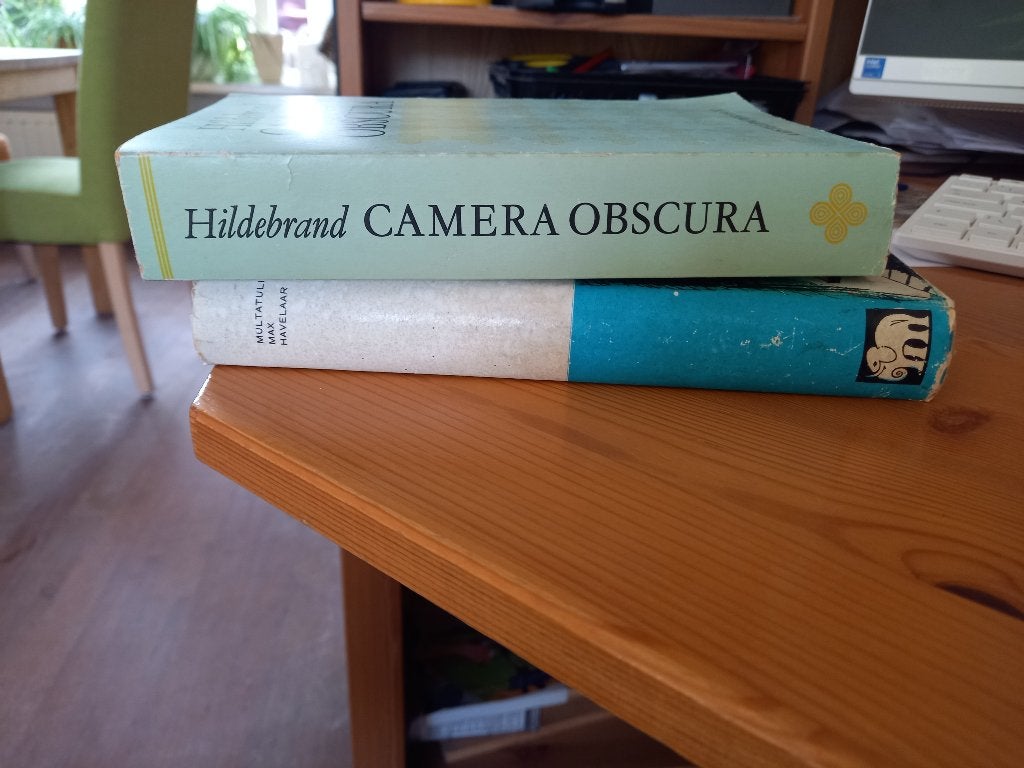 Camera Obscura en Max Havelaar, Ophalen, Gelezen, Diverse auteurs