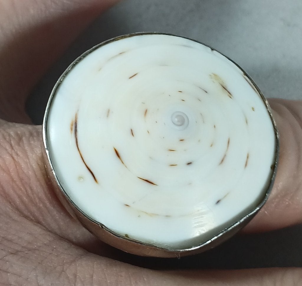 Zilveren fantasie ring 18,2mm met schelp 925 zilver, Gebruikt, Ophalen of Verzenden, Dame, Zilver