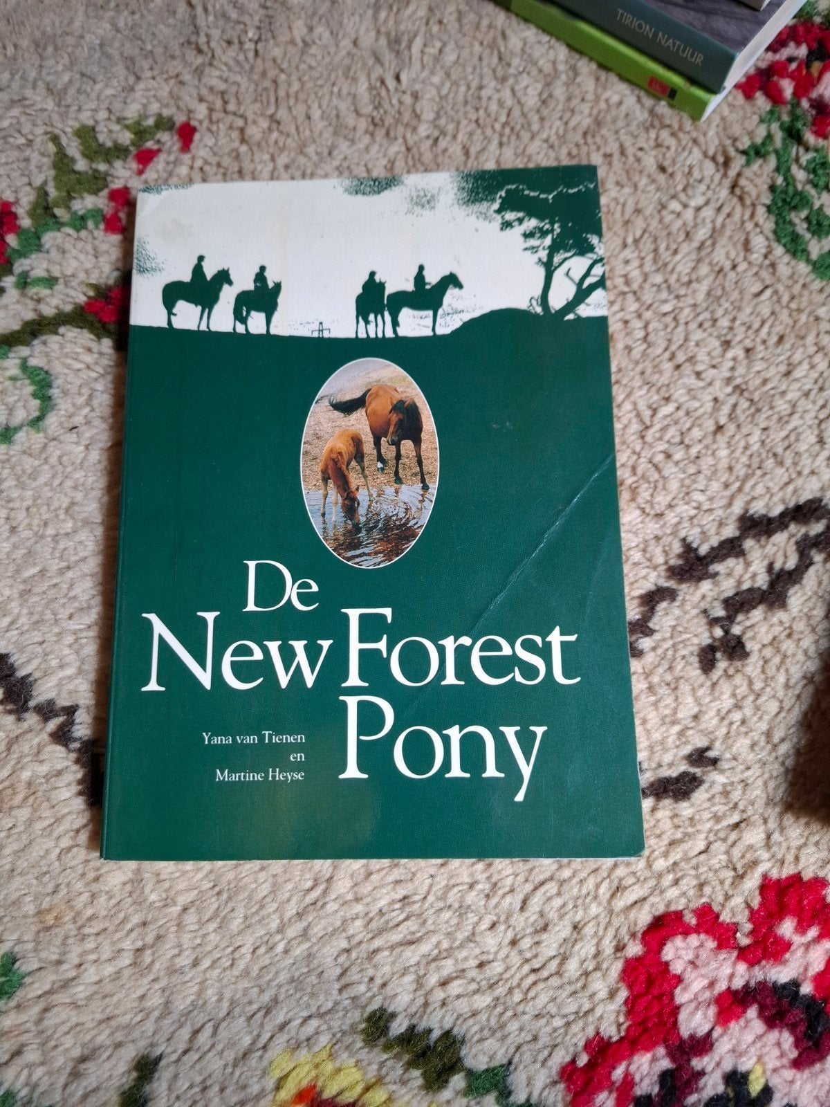 De New Forest Pony - Yana van Tienen & Martine Heyse, Ophalen of Verzenden, Gelezen, Yana van Tienen en Martine Heyse