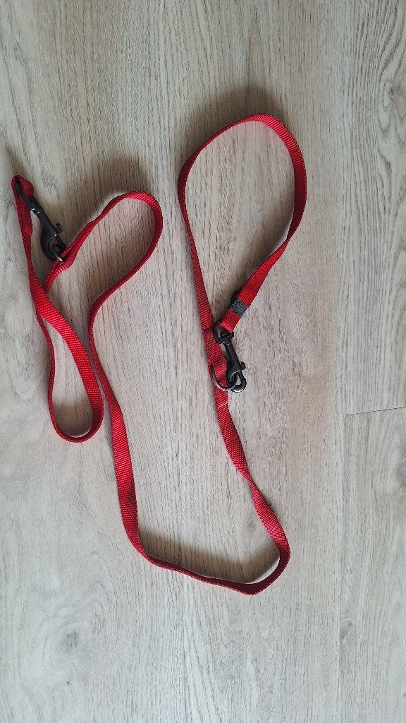 Hondenriem rood kort, Dieren en Toebehoren, Hondenriemen, Ophalen, Zo goed als nieuw