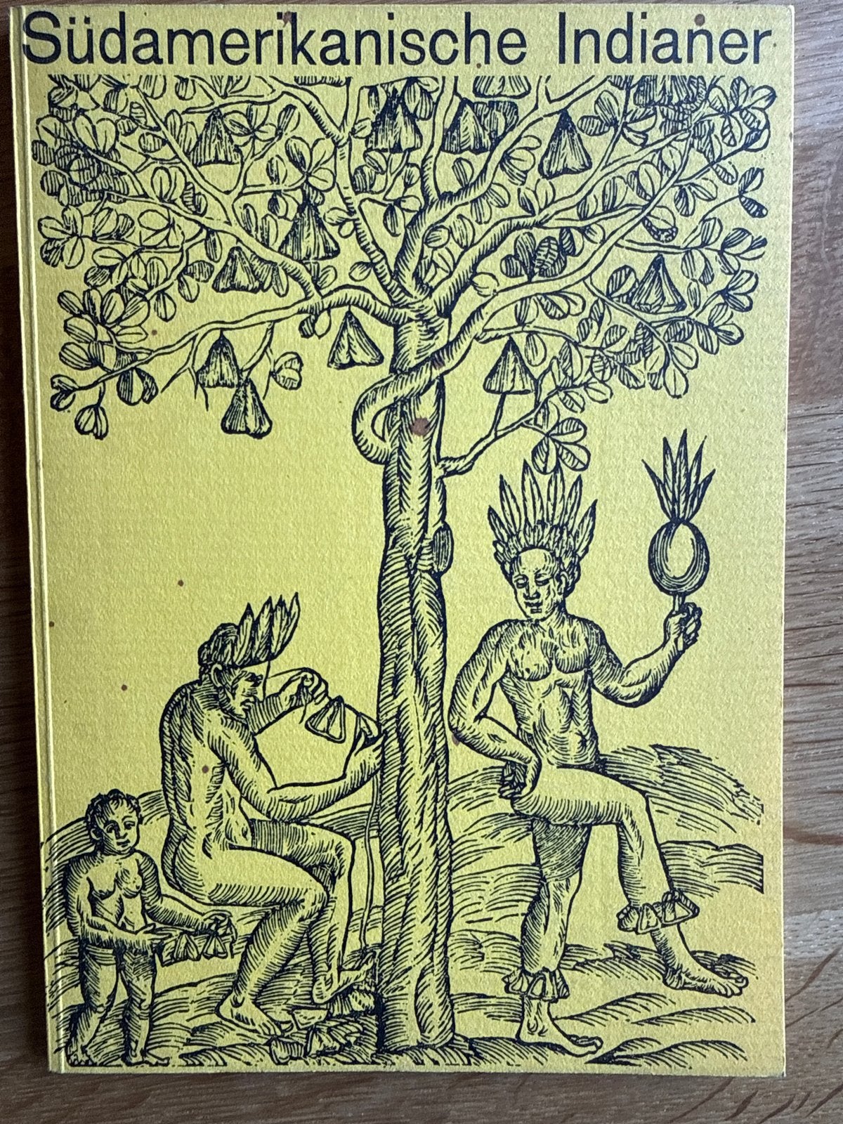 Zuid-Amerikaanse Indianen - Museum voor Volkenkunde, Ophalen of Verzenden, Gelezen