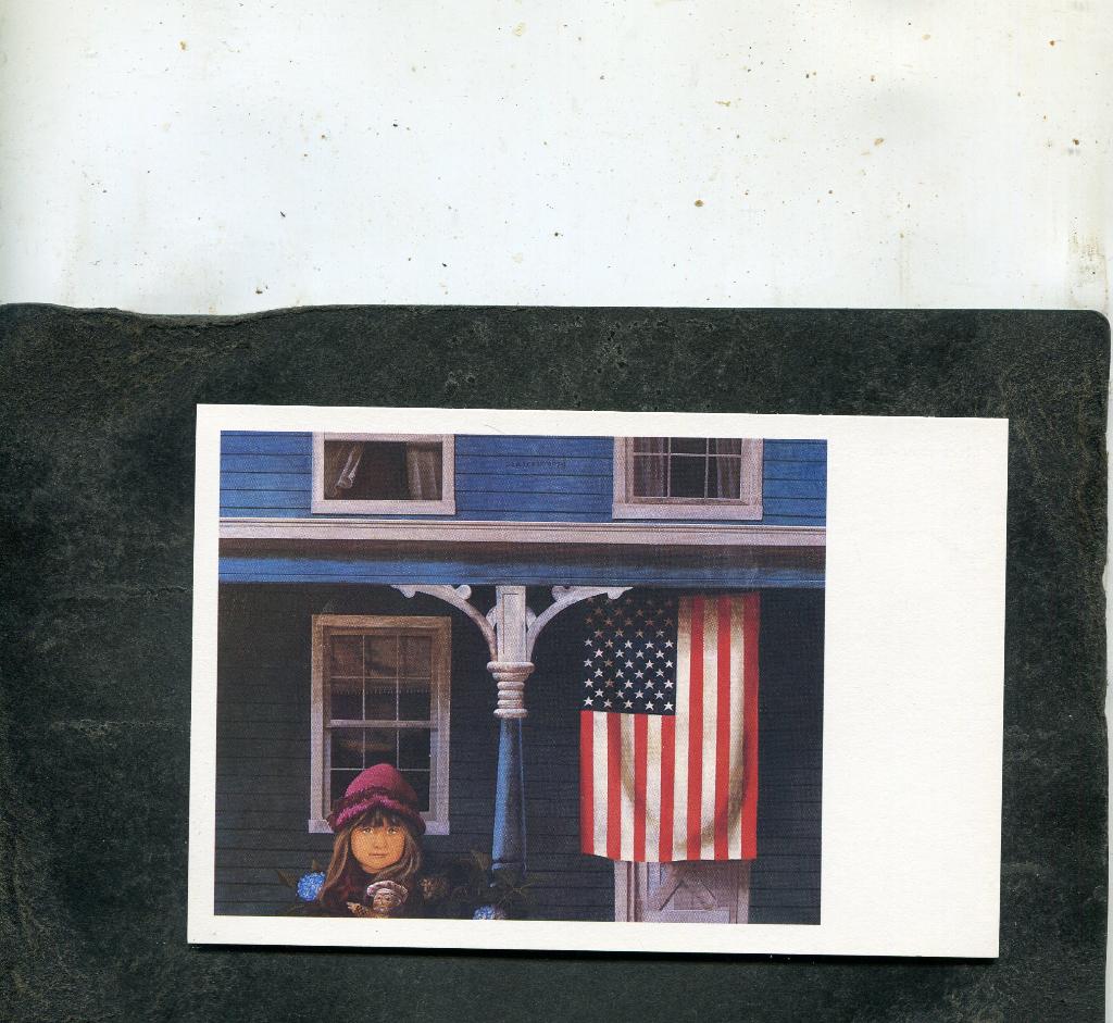 Ansicht H. Berserik - De jonge Amerikaanse, Verzenden, 1980 tot heden, Ongelopen, Overige thema's