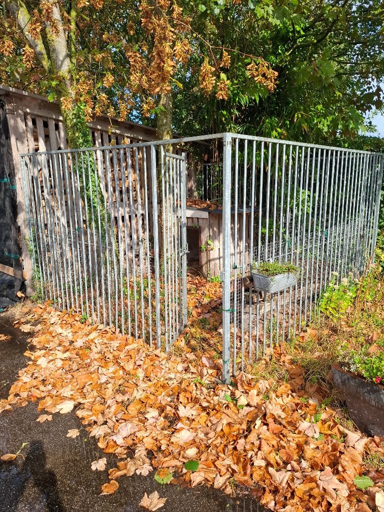 Hondenren, Ophalen, Hondenkennel, 110 cm of meer, 100 cm of meer