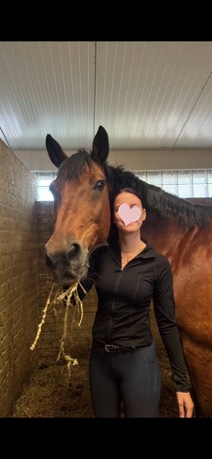 Verzorg pony/paard gezocht., Ophalen of Verzenden, Zo goed als nieuw