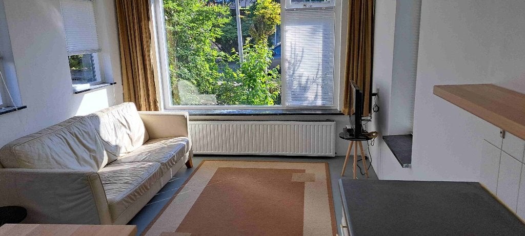 appartement te huur vanaf september 2026, Oisterwijk, 45 m², Noord-Brabant, Direct bij eigenaar